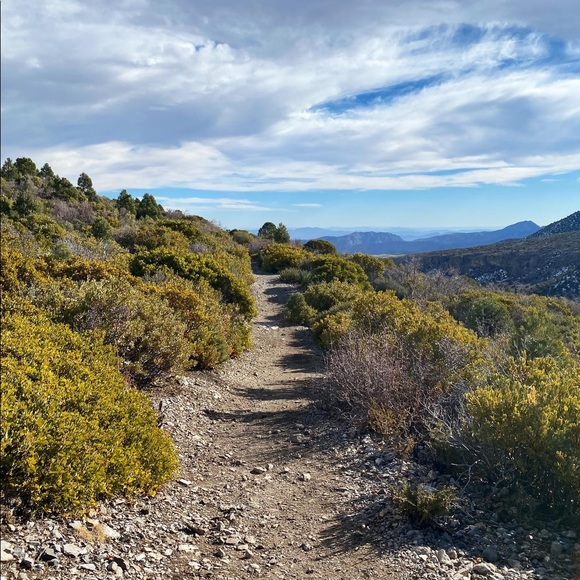 Meet your Posher, Cassandra - Picture 1 of 1